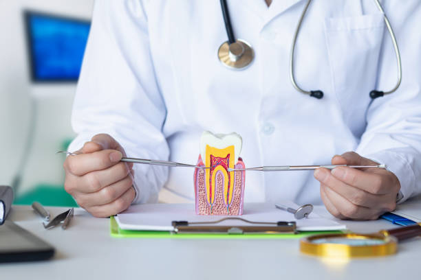 Best Emergency Dental Extractions in Woodbranch, TX